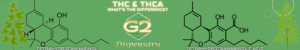 Thc v THCa by G2 Dispensary